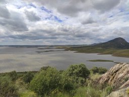 Flora del Cerro Masatrigo